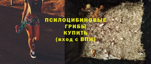 спиды Заводоуковск