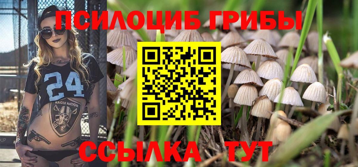 Димитровград  Псилоцибиновые грибы Cubensis  Псилоцибиновые грибы ЛСД  Вход с VPN 