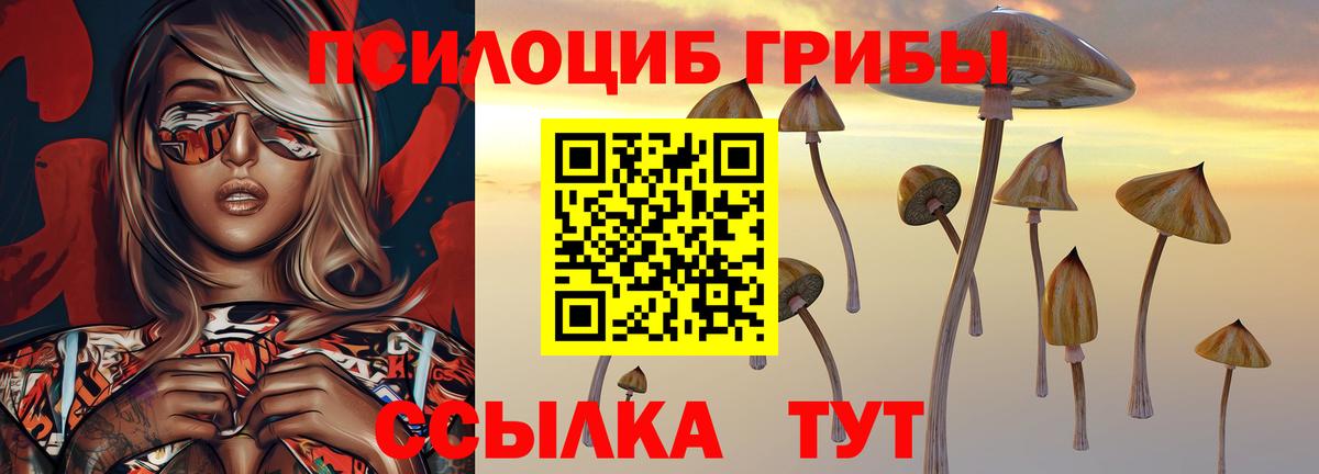 Галлюциногенные грибы мухоморы Димитровград